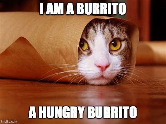 pape | I AM A BURRITO; A HUNGRY BURRITO | image tagged in burrito,cats,hunger | made w/ Imgflip meme maker