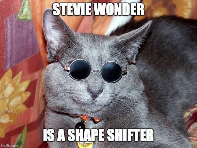 I wonder | STEVIE WONDER; IS A SHAPE SHIFTER | image tagged in cats,stevie wonder,glasses | made w/ Imgflip meme maker