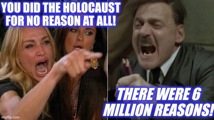 Angry lady cat | YOU DID THE HOLOCAUST
FOR NO REASON AT ALL! THERE WERE 6 MILLION REASONS! | image tagged in angry lady cat | made w/ Imgflip meme maker
