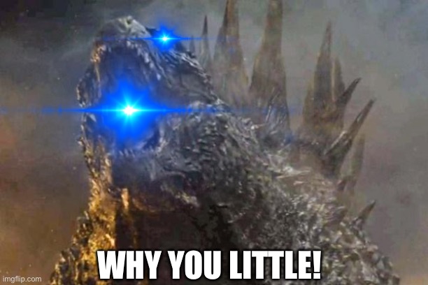 WHY YOU LITTLE! | made w/ Imgflip meme maker
