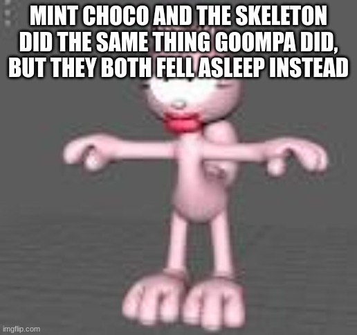 arlene t pose | MINT CHOCO AND THE SKELETON DID THE SAME THING GOOMPA DID, BUT THEY BOTH FELL ASLEEP INSTEAD | image tagged in arlene t pose | made w/ Imgflip meme maker