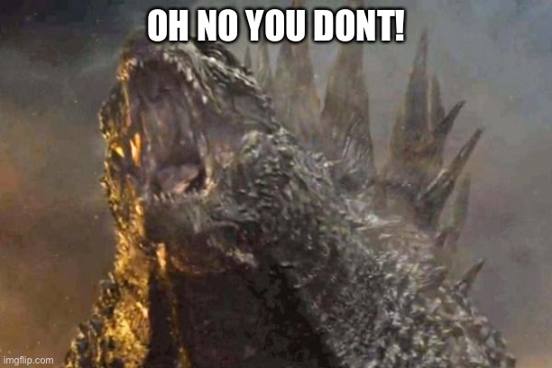Godzilla 2014 come at me bro | OH NO YOU DONT! | image tagged in godzilla 2014 come at me bro | made w/ Imgflip meme maker