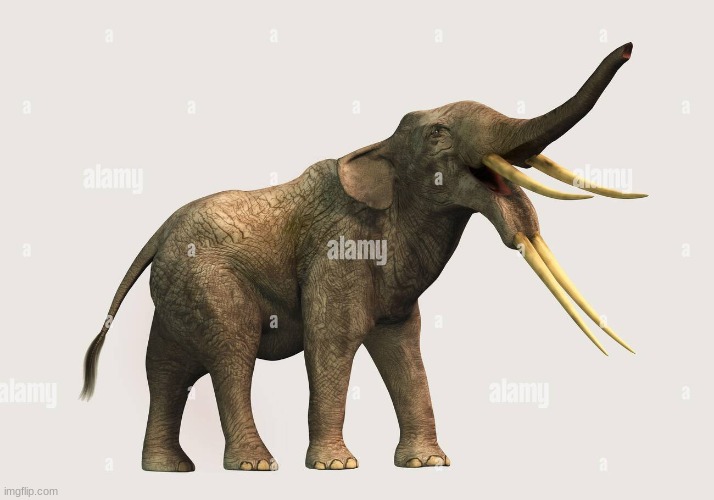 a nope from the past: stegotetrabelodon, the four-tusked elephant | made w/ Imgflip meme maker