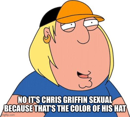 NO IT'S CHRIS GRIFFIN SEXUAL BECAUSE THAT'S THE COLOR OF HIS HAT | image tagged in chris griffin | made w/ Imgflip meme maker