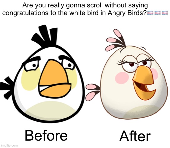 W Rovio |  Are you really gonna scroll without saying congratulations to the white bird in Angry Birds?🏳️‍⚧️🏳️‍⚧️🏳️‍⚧️; Before; After | made w/ Imgflip meme maker