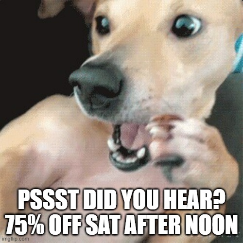 shock dog | PSSST DID YOU HEAR?
75% OFF SAT AFTER NOON | image tagged in shock dog | made w/ Imgflip meme maker