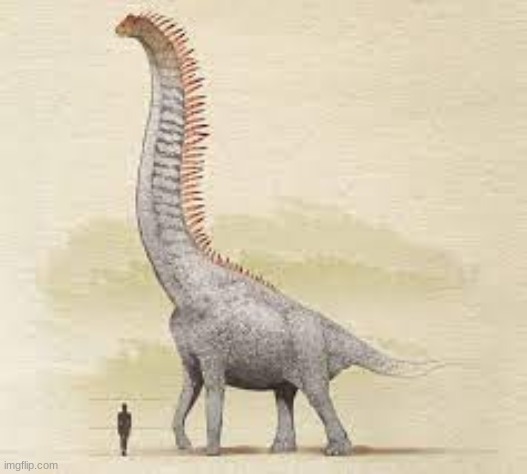 a nope from the past: sauroposeidon, the tallest animal ever. | made w/ Imgflip meme maker