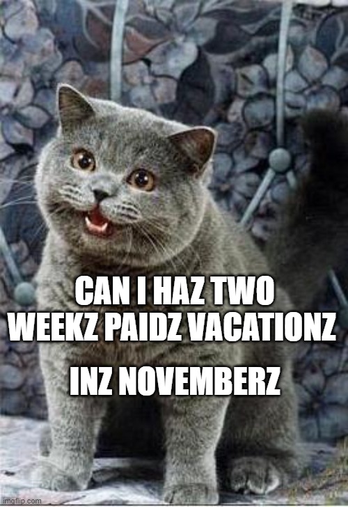 Two Weekz Vacationz In Novemberz | INZ NOVEMBERZ; CAN I HAZ TWO WEEKZ PAIDZ VACATIONZ | image tagged in i can has cheezburger cat | made w/ Imgflip meme maker