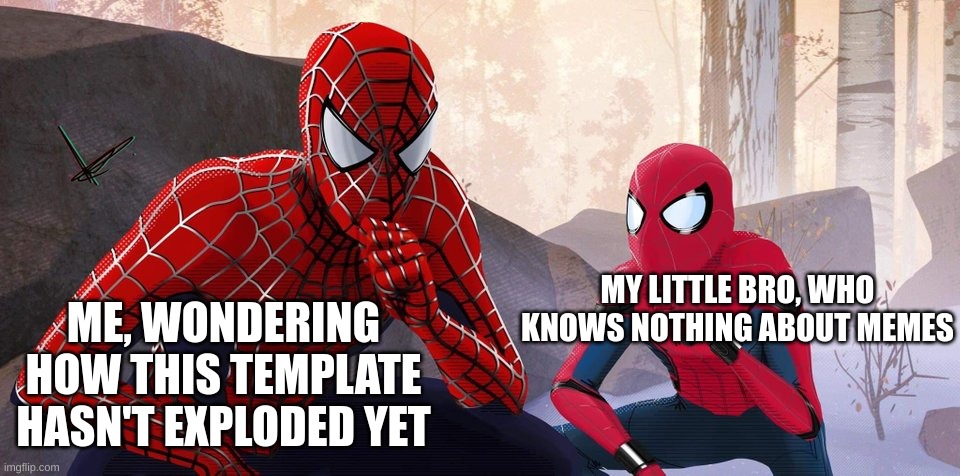 tobey>tom | MY LITTLE BRO, WHO KNOWS NOTHING ABOUT MEMES; ME, WONDERING HOW THIS TEMPLATE HASN'T EXPLODED YET | image tagged in learning from spider-man raimi,tobey maguire,tom holland,spiderman | made w/ Imgflip meme maker