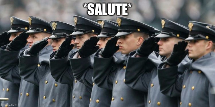Military Salute | *SALUTE* | image tagged in military salute | made w/ Imgflip meme maker