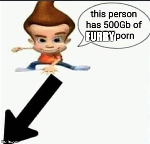 this person has 500gb | FURRY | image tagged in this person has 500gb | made w/ Imgflip meme maker