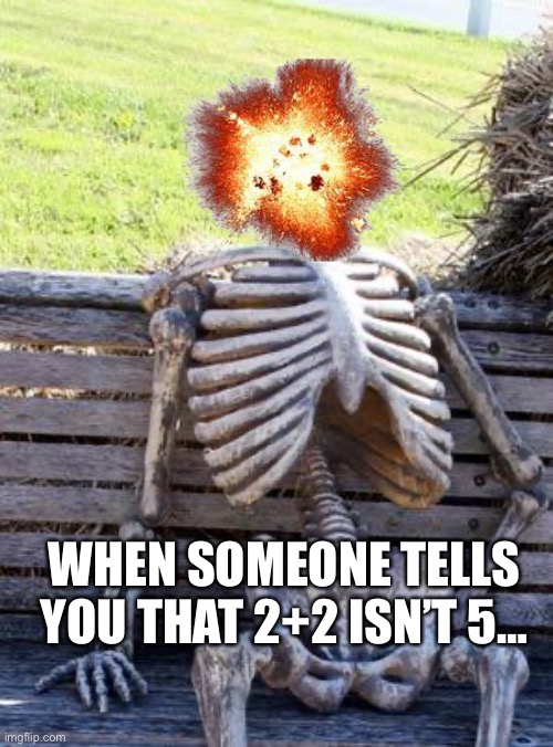 Waiting Skeleton | WHEN SOMEONE TELLS YOU THAT 2+2 ISN’T 5… | image tagged in memes,waiting skeleton,dying,funny,nerd | made w/ Imgflip meme maker