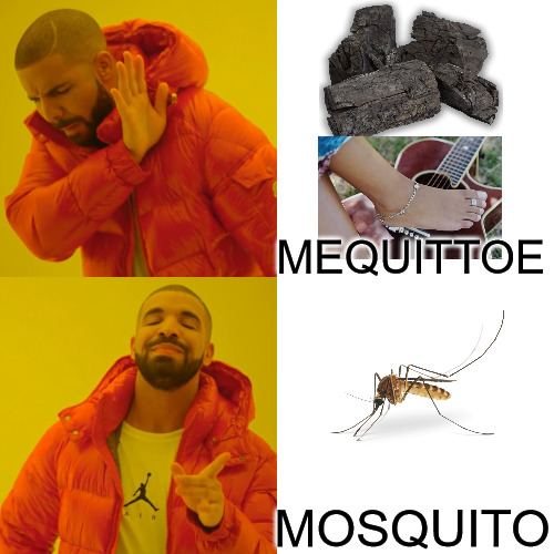 THE TRUTH RUTH | MEQUITTOE; MOSQUITO | image tagged in memes,drake hotline bling | made w/ Imgflip meme maker