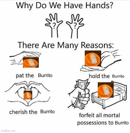 Why do we have hands? (all blank) | Burrito; Burrito; Burrito; Burrito | image tagged in why do we have hands all blank,jimmyhere burrito,burrito | made w/ Imgflip meme maker