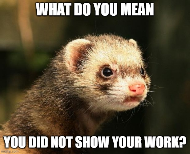 Math did not show your work |  WHAT DO YOU MEAN; YOU DID NOT SHOW YOUR WORK? | image tagged in frustrated ferret | made w/ Imgflip meme maker