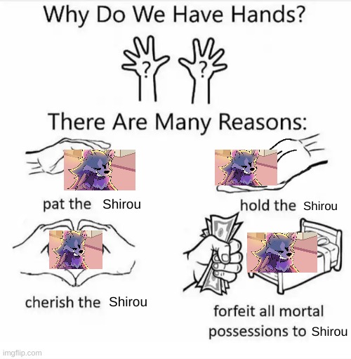 Why do we have hands? (all blank) | Shirou; Shirou; Shirou; Shirou | image tagged in why do we have hands all blank | made w/ Imgflip meme maker
