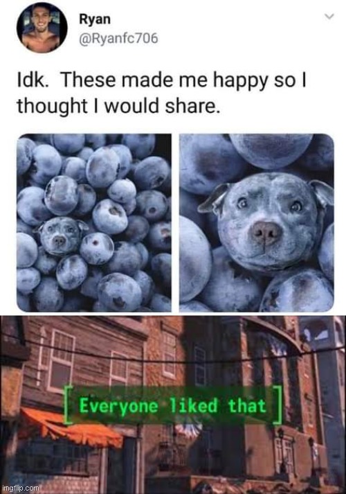 yes | image tagged in everyone liked that,memes | made w/ Imgflip meme maker