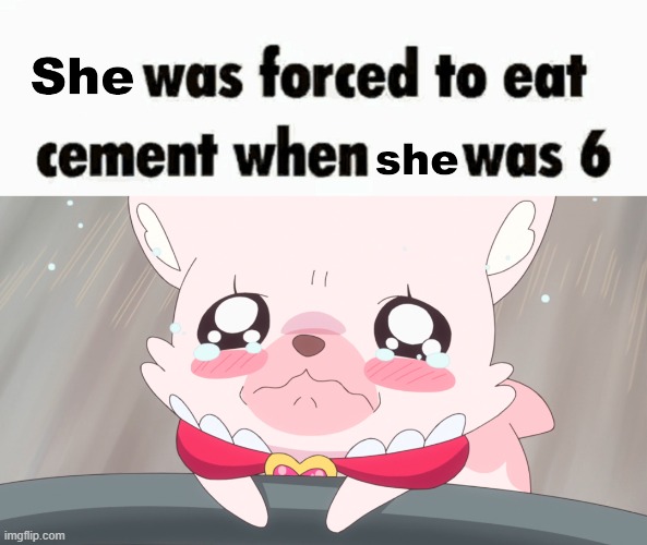 why | image tagged in fox,she was forced to eat cement when she was 6,precure,arctic fox,magical girl,kawaii | made w/ Imgflip meme maker