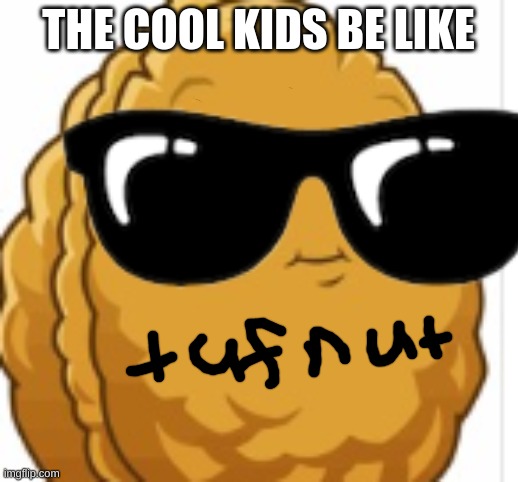 tuff nut | THE COOL KIDS BE LIKE | image tagged in school,pvz wallnut | made w/ Imgflip meme maker