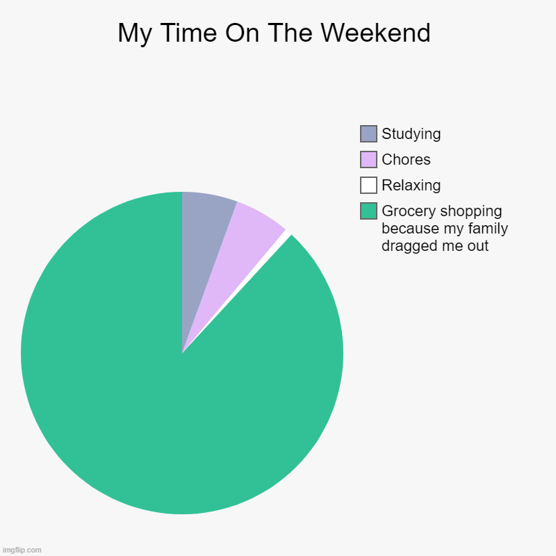 My Time On The Weekend | Grocery shopping because my family dragged me out, Relaxing, Chores, Studying | image tagged in charts,pie charts | made w/ Imgflip chart maker