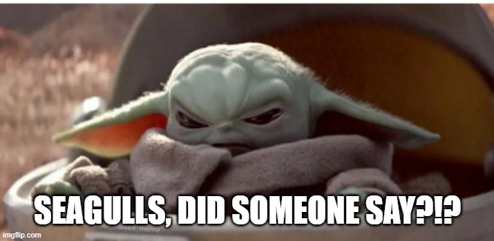 Angry baby yoda | SEAGULLS, DID SOMEONE SAY?!? | image tagged in angry baby yoda | made w/ Imgflip meme maker