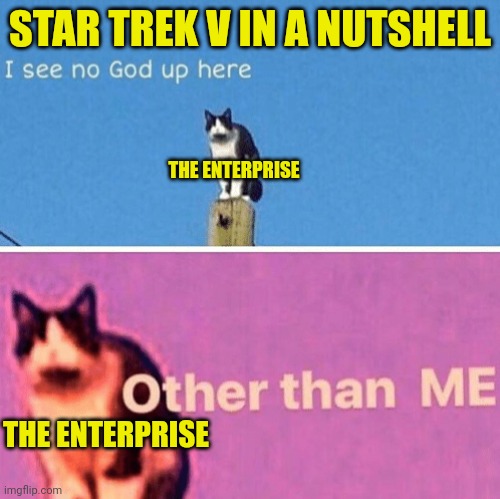 Star Trek V in a nutshell |  STAR TREK V IN A NUTSHELL; THE ENTERPRISE; THE ENTERPRISE | image tagged in hail pole cat,startrek | made w/ Imgflip meme maker