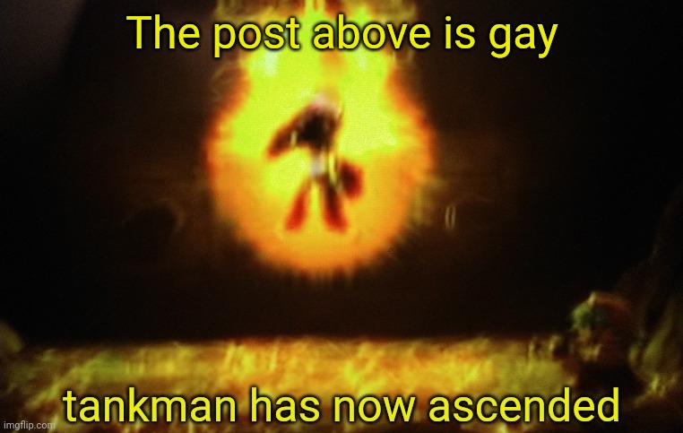 The post above is gay | image tagged in tankman a s c e n d s | made w/ Imgflip meme maker