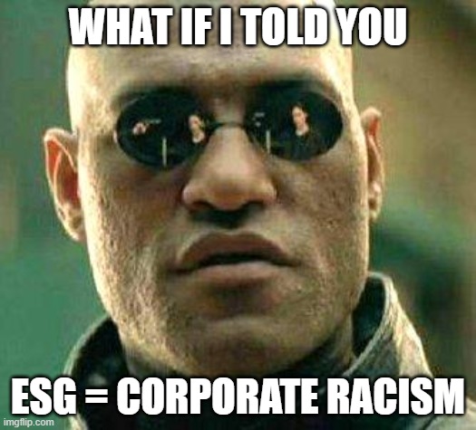 What if i told you | WHAT IF I TOLD YOU; ESG = CORPORATE RACISM | image tagged in what if i told you | made w/ Imgflip meme maker