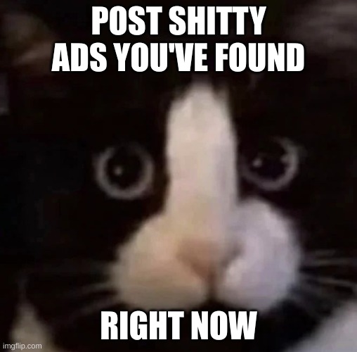 dick cat | POST SHITTY ADS YOU'VE FOUND; RIGHT NOW | image tagged in dick cat | made w/ Imgflip meme maker