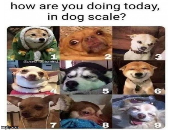 How you doing? | image tagged in friday | made w/ Imgflip meme maker