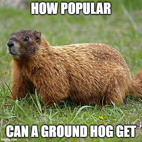 groundhog | HOW POPULAR; CAN A GROUND HOG GET | image tagged in groundhog | made w/ Imgflip meme maker