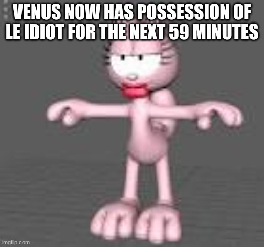 arlene t pose | VENUS NOW HAS POSSESSION OF LE IDIOT FOR THE NEXT 59 MINUTES | image tagged in arlene t pose | made w/ Imgflip meme maker