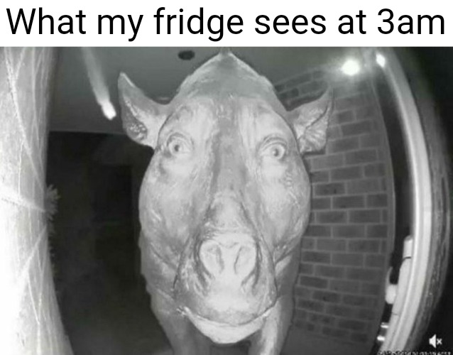 scary pig thing | What my fridge sees at 3am | image tagged in scary pig thing | made w/ Imgflip meme maker