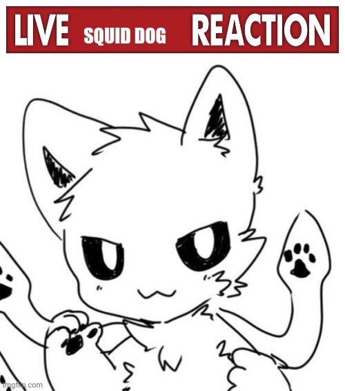 HELLO PEOPLE, JUST CAME ONLINE AND JOINED TREND | SQUID DOG | image tagged in live x reaction | made w/ Imgflip meme maker