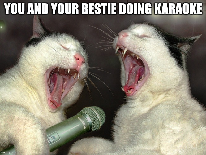 true tho... | YOU AND YOUR BESTIE DOING KARAOKE | image tagged in memes | made w/ Imgflip meme maker