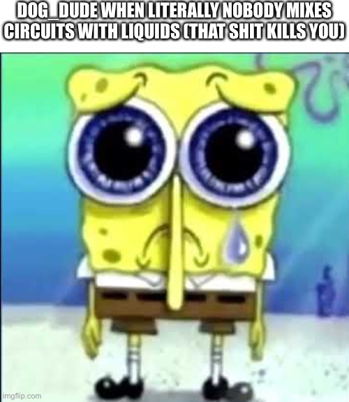 Sad Spongebob | DOG_DUDE WHEN LITERALLY NOBODY MIXES CIRCUITS WITH LIQUIDS (THAT SHIT KILLS YOU) | image tagged in sad spongebob | made w/ Imgflip meme maker