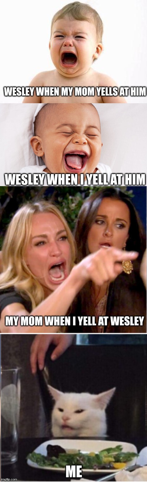 MOM!! | WESLEY WHEN MY MOM YELLS AT HIM; WESLEY WHEN I YELL AT HIM; MY MOM WHEN I YELL AT WESLEY; ME | image tagged in baby,woman yelling at cat,mom | made w/ Imgflip meme maker