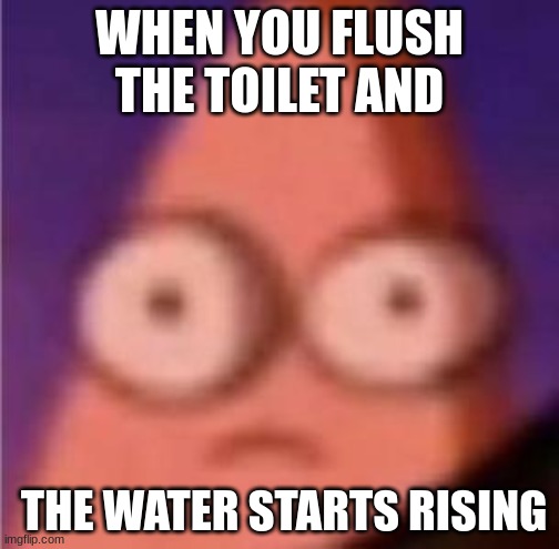 Eyes wide Patrick |  WHEN YOU FLUSH THE TOILET AND; THE WATER STARTS RISING | image tagged in eyes wide patrick | made w/ Imgflip meme maker