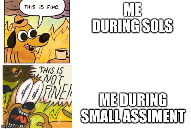 why brain, why | ME DURING SOLS; ME DURING SMALL ASSIMENT | image tagged in this is fine this is not fine,school | made w/ Imgflip meme maker