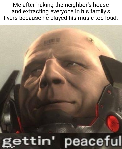 Idk | Me after nuking the neighbor's house and extracting everyone in his family's livers because he played his music too loud: | image tagged in e | made w/ Imgflip meme maker