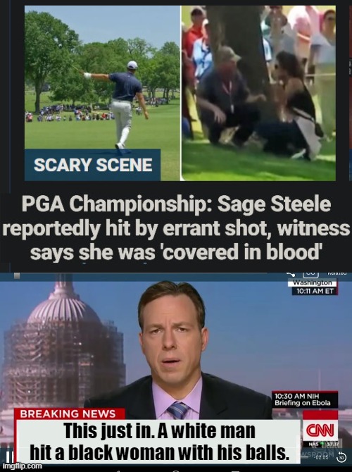 Well he's not wrong... |  This just in. A white man hit a black woman with his balls. | image tagged in golf,sage steele,pga,cnn fake news,racism everywhere,woke | made w/ Imgflip meme maker