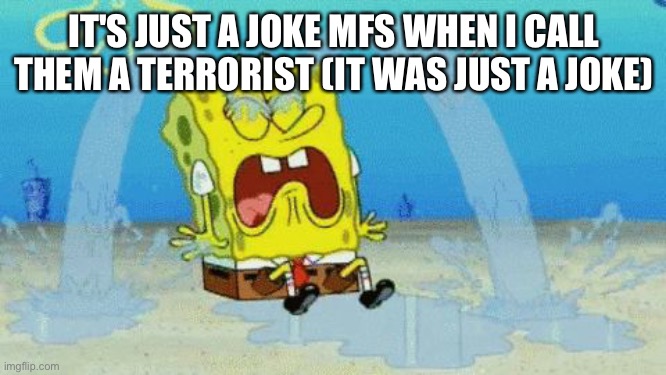 Spongebob crying | IT'S JUST A JOKE MFS WHEN I CALL THEM A TERRORIST (IT WAS JUST A JOKE) | image tagged in spongebob crying | made w/ Imgflip meme maker