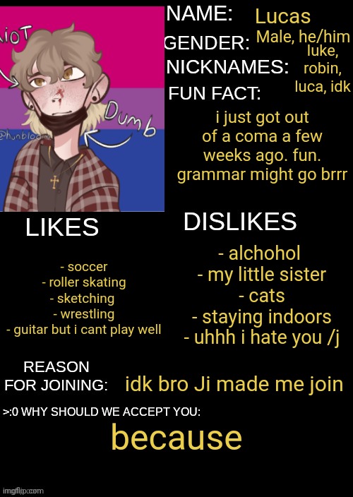 the gang submission |  Male, he/him; Lucas; luke, robin, luca, idk; i just got out of a coma a few weeks ago. fun. grammar might go brrr; - alchohol 
- my little sister
- cats
- staying indoors
- uhhh i hate you /j; - soccer
- roller skating
- sketching 
- wrestling
- guitar but i cant play well; idk bro Ji made me join; because | image tagged in the gang submission | made w/ Imgflip meme maker