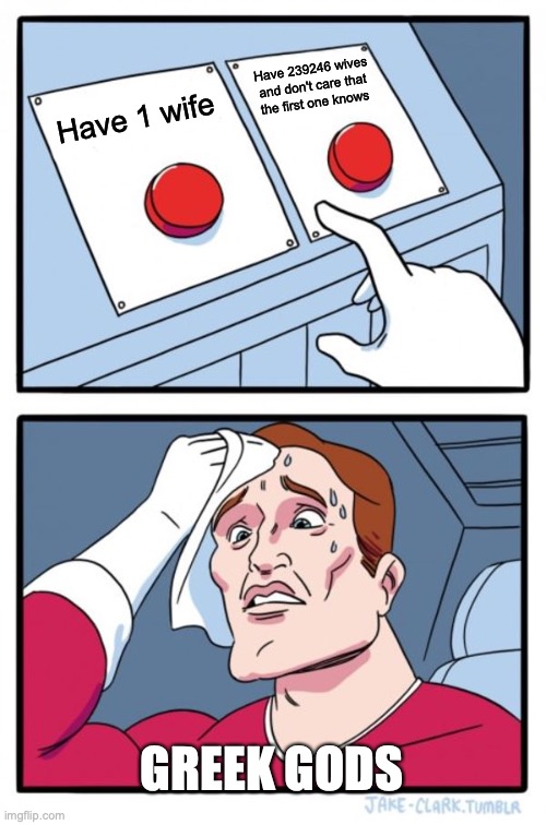 Two Buttons Meme | Have 239246 wives and don't care that the first one knows; Have 1 wife; GREEK GODS | image tagged in memes,two buttons | made w/ Imgflip meme maker