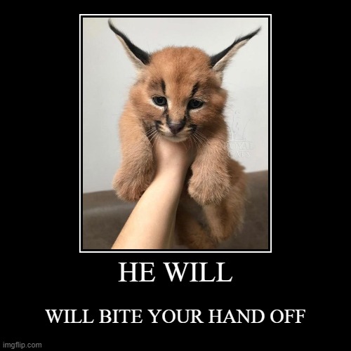 floppa meme | HE WILL | WILL BITE YOUR HAND OFF | image tagged in funny,demotivationals | made w/ Imgflip demotivational maker