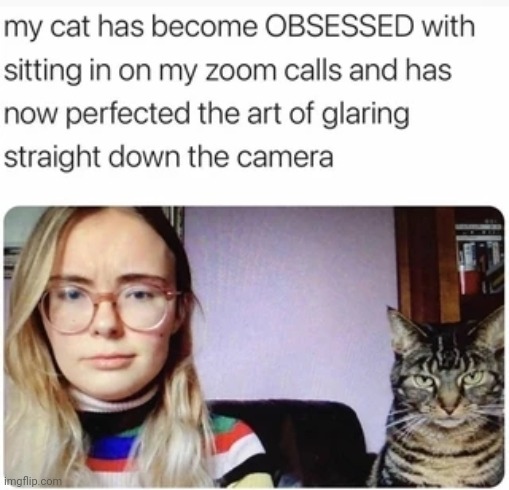 Supervisor | image tagged in supervising,unhappy,judgemental | made w/ Imgflip meme maker