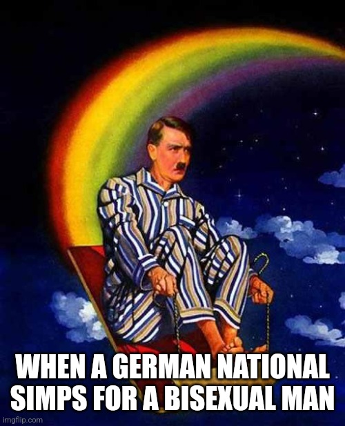Hitler doesn't approve | WHEN A GERMAN NATIONAL SIMPS FOR A BISEXUAL MAN | image tagged in random hitler | made w/ Imgflip meme maker