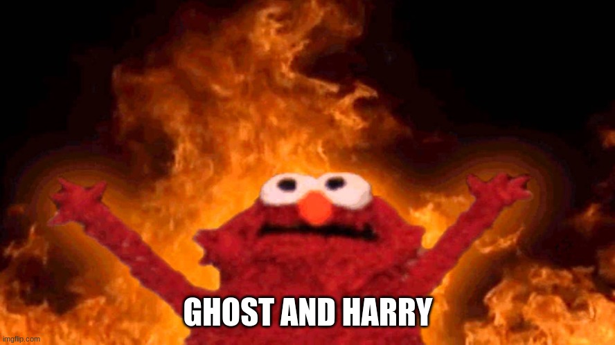 elmo fire | GHOST AND HARRY | image tagged in elmo fire | made w/ Imgflip meme maker