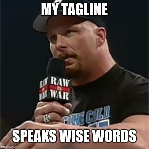Stone cold  | MY TAGLINE; SPEAKS WISE WORDS | image tagged in stone cold | made w/ Imgflip meme maker