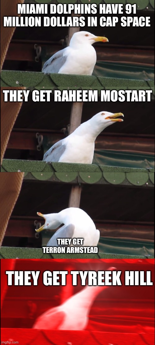 Inhaling Seagull | MIAMI DOLPHINS HAVE 91 MILLION DOLLARS IN CAP SPACE; THEY GET RAHEEM MOSTART; THEY GET TERRON ARMSTEAD; THEY GET TYREEK HILL | image tagged in memes,inhaling seagull | made w/ Imgflip meme maker